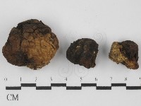 登錄號:F0031305藏品圖，第3張