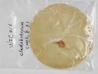 登錄號:F0031306藏品圖，第1張