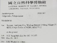 登錄號:F0031307藏品圖，第2張