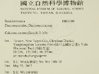 登錄號:F0031309藏品圖，第2張