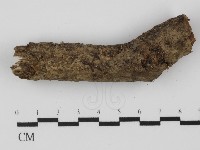 登錄號:F0031309藏品圖，第1張