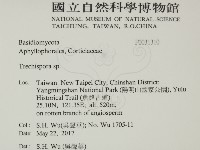 登錄號:F0031310藏品圖，第2張