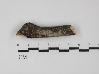 登錄號:F0031310藏品圖，第1張