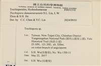 登錄號:F0031310藏品圖，第3張