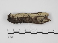 登錄號:F0031311藏品圖，第1張