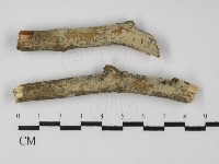 登錄號:F0031313藏品圖，第1張