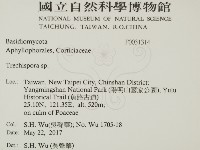 粗糙孢菌屬藏品圖，第2張