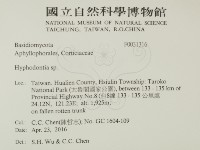 絲齒菌屬藏品圖，第2張