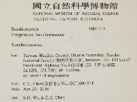 齒耳菌屬藏品圖，第2張