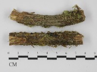 登錄號:F0031319藏品圖，第1張