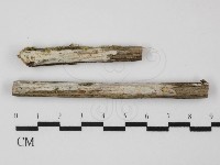 登錄號:F0031320藏品圖，第1張