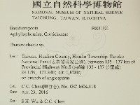 顯絲菌屬藏品圖，第2張