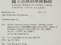登錄號:F0031324藏品圖，第2張