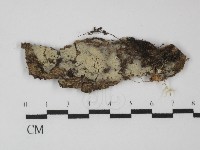 登錄號:F0031324藏品圖，第1張