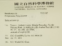 登錄號:F0031327藏品圖，第2張