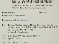 登錄號:F0031329藏品圖，第2張