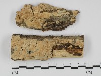 登錄號:F0031333藏品圖，第1張