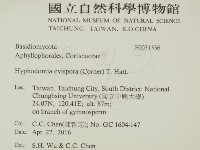 登錄號:F0031336藏品圖，第2張
