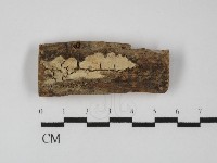 登錄號:F0031336藏品圖，第1張