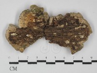 登錄號:F0031339藏品圖，第1張