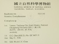 登錄號:F0031340藏品圖，第2張