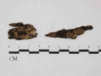 登錄號:F0031340藏品圖，第1張