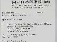 登錄號:F0031341藏品圖，第2張