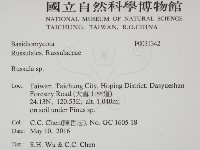 紅菇屬藏品圖，第2張