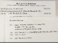雲南無扣菌藏品圖，第2張