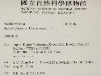 登錄號:F0031346藏品圖，第2張