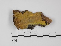 登錄號:F0031346藏品圖，第1張