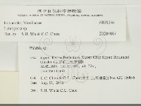 登錄號:F0031346藏品圖，第3張