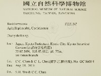 登錄號:F0031347藏品圖，第2張