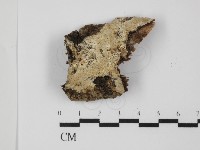 登錄號:F0031347藏品圖，第1張