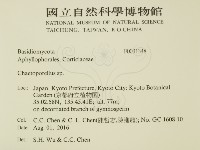 登錄號:F0031348藏品圖，第2張