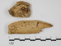 登錄號:F0031348藏品圖，第1張