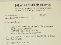 登錄號:F0031349藏品圖，第2張