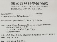 登錄號:F0031350藏品圖，第2張