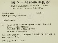 絲皮菌屬藏品圖，第2張