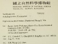 登錄號:F0031352藏品圖，第2張