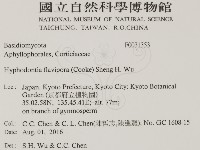 登錄號:F0031353藏品圖，第2張