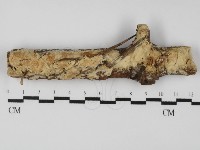 登錄號:F0031353藏品圖，第1張