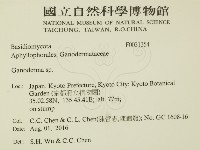 靈芝屬藏品圖，第2張