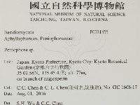 筍殼菌屬藏品圖，第2張