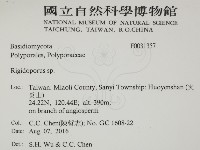 硬孔菌屬藏品圖，第2張