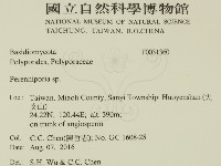 多年臥孔菌屬藏品圖，第2張