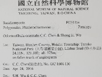 登錄號:F0031364藏品圖，第2張