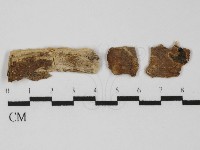 登錄號:F0031364藏品圖，第1張