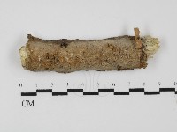 登錄號:F0031365藏品圖，第1張