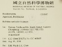 登錄號:F0031367藏品圖，第2張